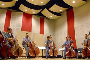 Vienna Symphonic Library